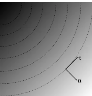 Figure 3.1: Normal and tangent vectors to the isophote lines