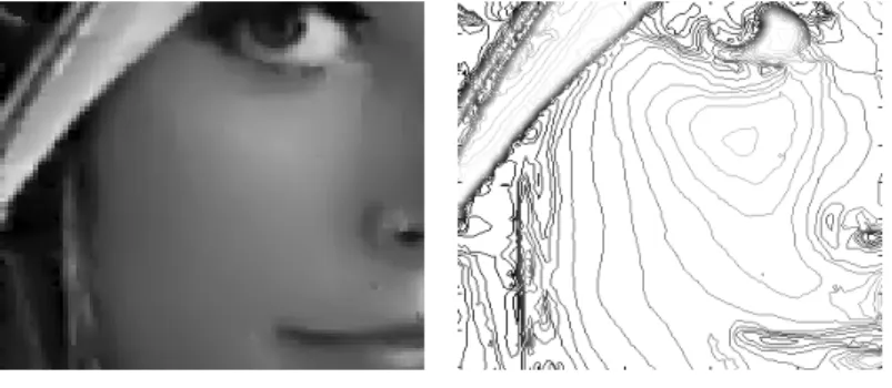 Figure 4.4: Zoomed result for the restored images generated by the TV-Stokes (with and without Π P ), Fourth-Order model and the ROF model.