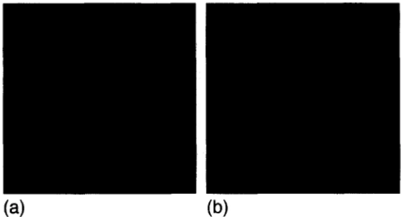 Fig.  10.  The  error images of the  projection results. (a)  Error  image  of  " h o u s e "   of the  proposed method  with  respect to  the  KL  expansion