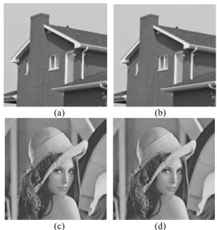Figure 4. Some experimental results. (a) Cover image 