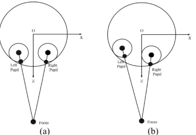 Fig.  8:  An  illustration  of  the  focus  and  eyeballs.  (a)  Before  rotation. (b) After rotation