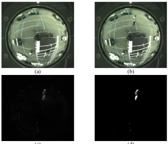 Figure 5.   Background  images  of proposed  two-camera  imaging  device.  (a)  Background taken by upper camera