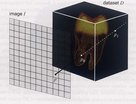 Fig 10.4  Conceptual principle of volume visualization