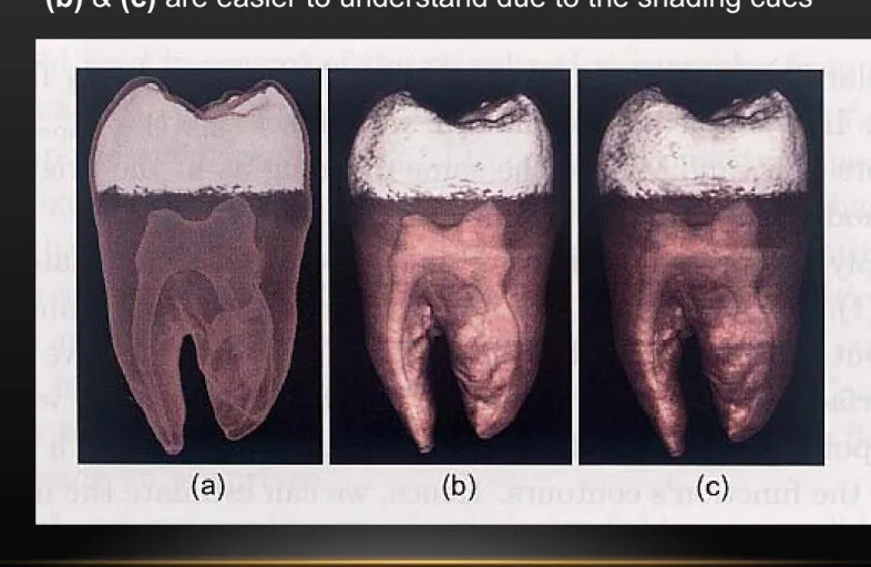 Fig 10.10. Volumetric lighting. (a) No lighting. (b) Diffuse lighting. 
