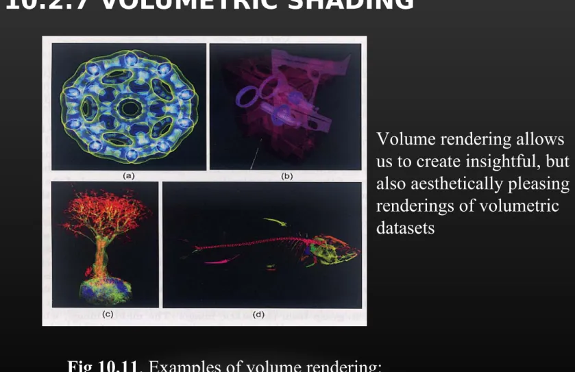 Fig 10.11. Examples of volume rendering: 