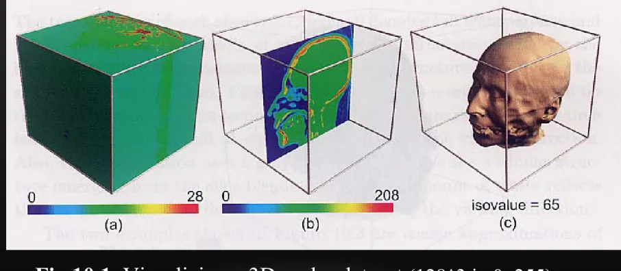 Fig 10.1  Visualizing a 3D scalar dataset  (128^3 in 0~255):
