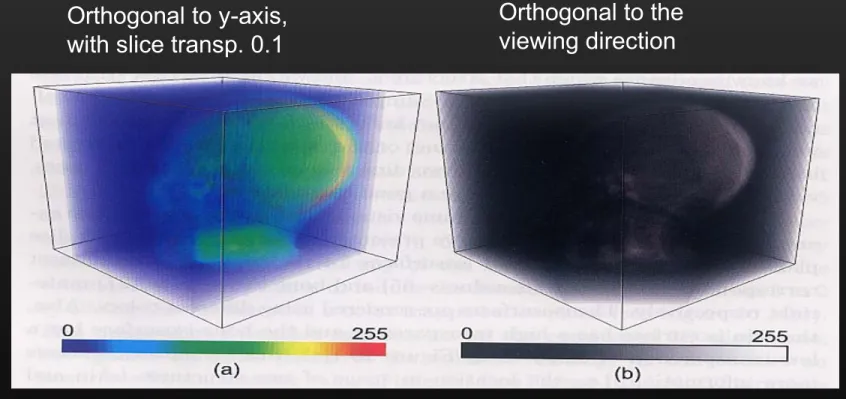 Fig 10.3. Visualization of scalar volume using (a) volume-aligned slices; 