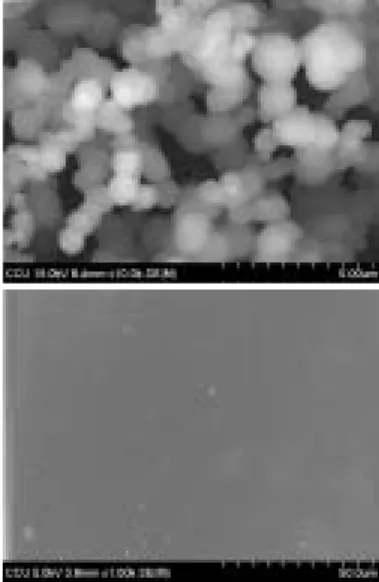 Figure 1. XRD patterns of electrochemically  treated Ti samples at different applied potentials