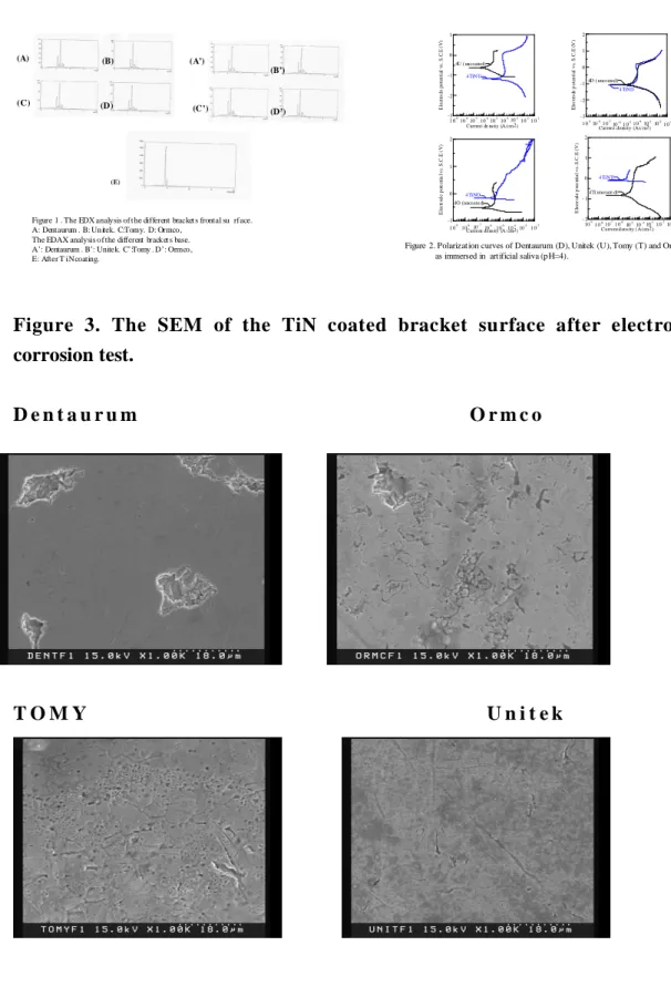 Figure  3.  The  SEM  of  the  TiN  coated  bracket  surface  after  electrochemical  corrosion test