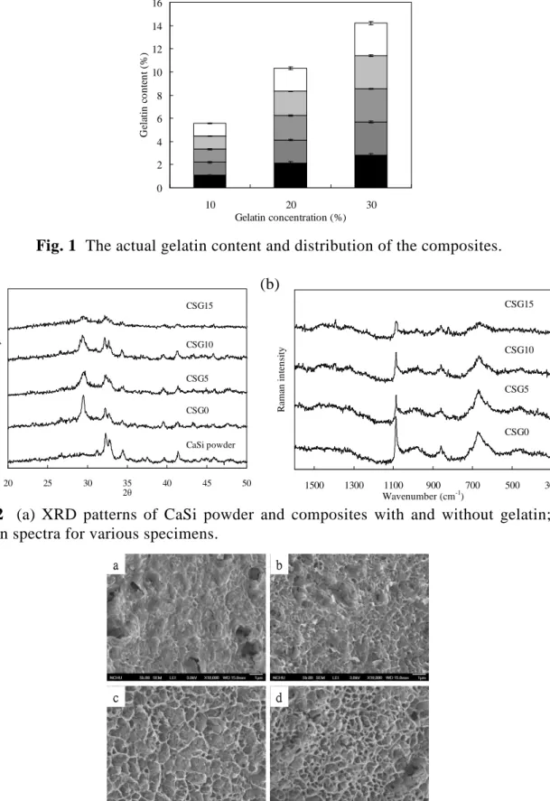 Fig. 2 (a) XRD patterns of CaSi powder and composites with and without gelatin; (b) Raman spectra for various specimens.