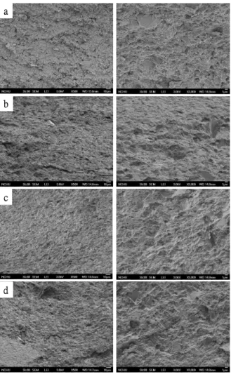 Fig. 4 SEM micrographs of the interior surface of the specimens. (a) CSG0 control, (b) CSG5, (c) CSG10, and (d) CSG15