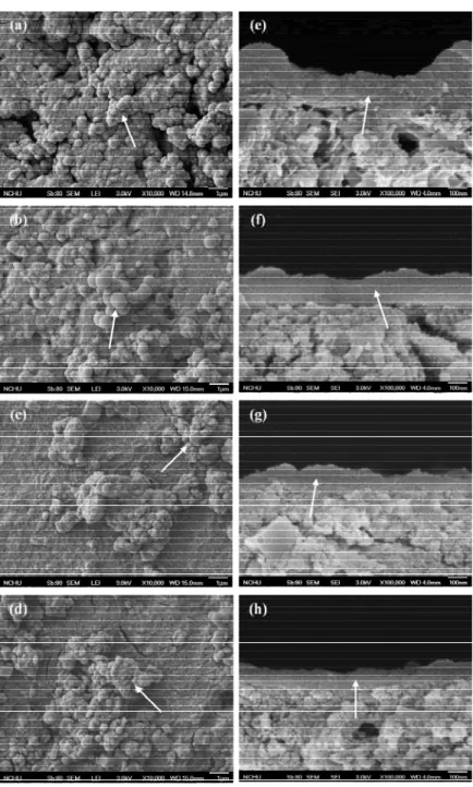 Fig. 8 Surface (a-d) and cross-sectional (e-h) SEM micrographs of various bone grafts after soaking in an SBF solution for 1 day