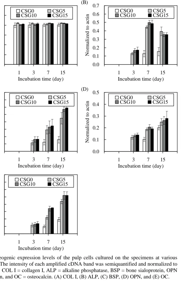 Fig. 16 Osteogenic expression levels of the pulp cells cultured on the specimens at various time points