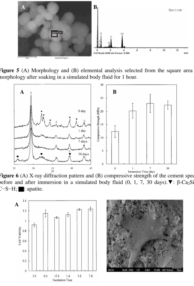 Figure 5 (A) Morphology and (B) elemental analysis selected from the square area of the morphology after soaking in a simulated body fluid for 1 hour.