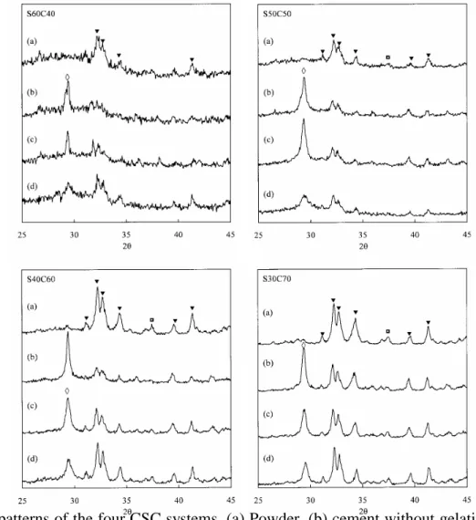 Figure 8 XRD patterns of the four CSC systems. (a) Powder, (b) cement without gelatin, (c) cement containing 5 wt %  ge l a t i n, a nd  ( d) c e me nt c ont a i ni ng  10  wt %  ge l a t i n
