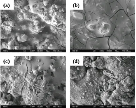 Figure 8. Scanning electron micrographs: as-sprayed coating (a) with gentamicin loading (b),  the release of gentamicin for as-sprayed coating (c) and 600 o C-treatment coating (d)