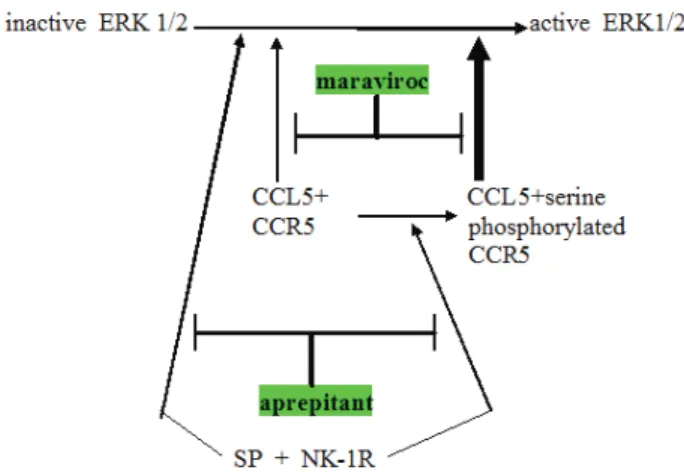 Table 1. lists the drugs of CUSP9 with basic area of  projected modes of action.