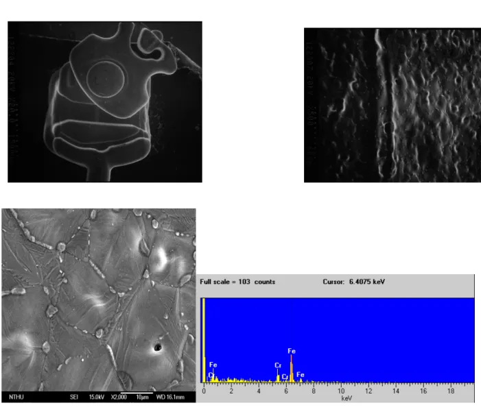 Figure 3. Different SLB brackets scan electromicroscopy observation and EDX expression