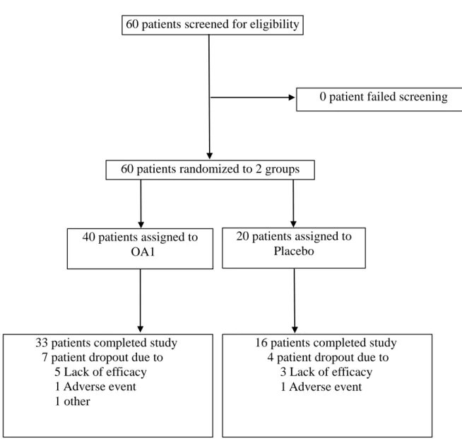 Figure 1. Study flow chart. 