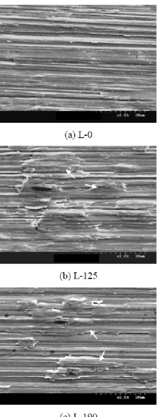 Fig. 1  SEM observations of the Ti specimens with and without Er,Cr:YSGG  hydrokinetic laser treatment
