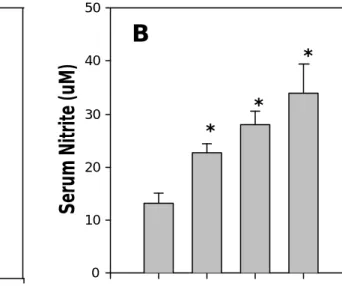Fig 7. WBC number (A) and nitrite levels (B) in normal and cigarette smoking rats blood