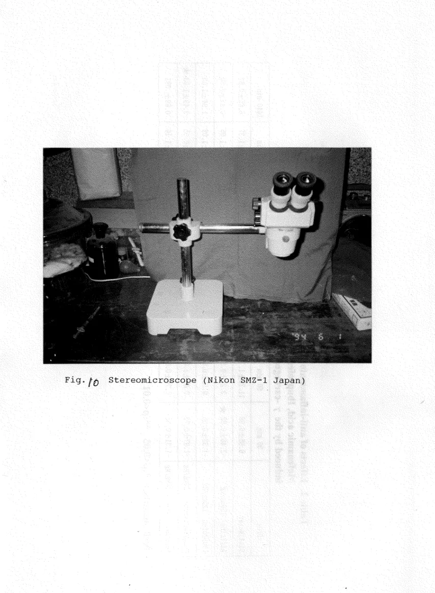 Fig.  tó  Stereomicroscope  (Nikon  SMZ-l  Japan) 