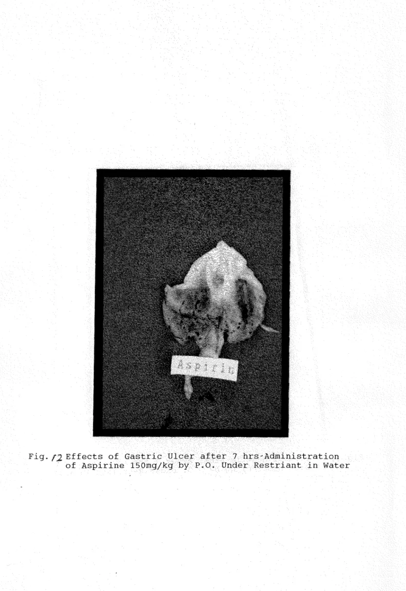 Fig. f2Effects  of  Gastric  Ulcer  after  7  hrs~Administration 