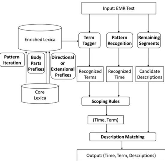 Fig 3. Chinese EMR information extraction system workflow.