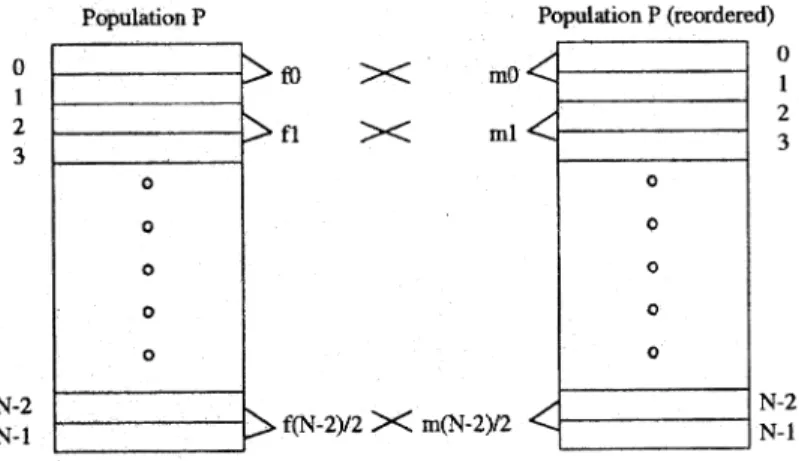 Fig. 4. Tournament selection. Tournament selection procedure: the ®rst time selection will choose N/2 parents, after reordering the population, the second time selection will choose the other N/2 parents.