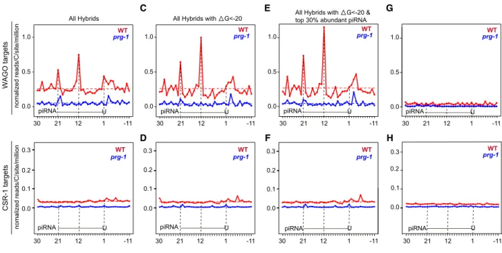 Figure 2. 22G-RNAs Peak at the Center and Ends of piRNA Binding Sites