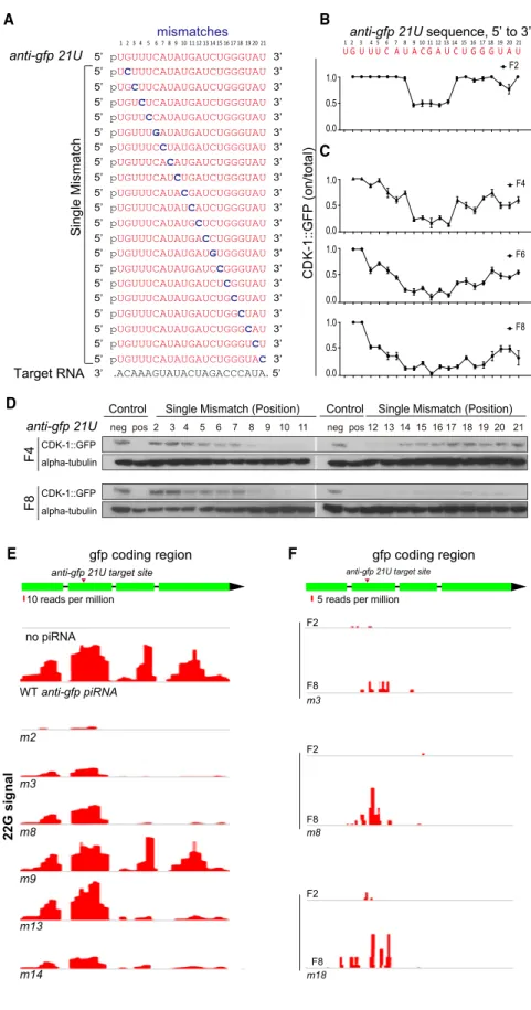 Figure 4. Seed and 3 0 Supplementary Pair- Pair-ing Are Required for SilencPair-ing