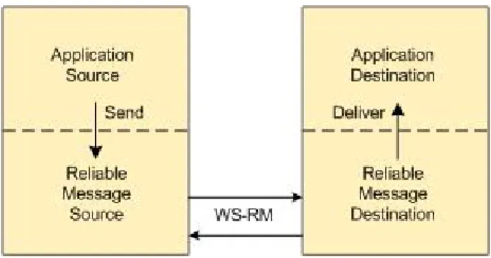 Figure 8: WS-RM Participants