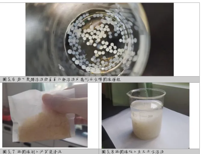 圖 5.6 幾丁聚醣溶液與氫氧化鈉溶液反應形成水膠圓珠過程  圖 5.7 將圓珠倒入沖茶袋清洗  圖 5.8 將圓珠放入京尼平水溶液  (四)  研究結果: 1.  晶球製作:僅 2%的幾丁聚醣溶液可以用針筒製成顆粒狀晶體樣本，故本 實驗就以製作 2%的幾丁聚醣晶球為測試樣本。 2