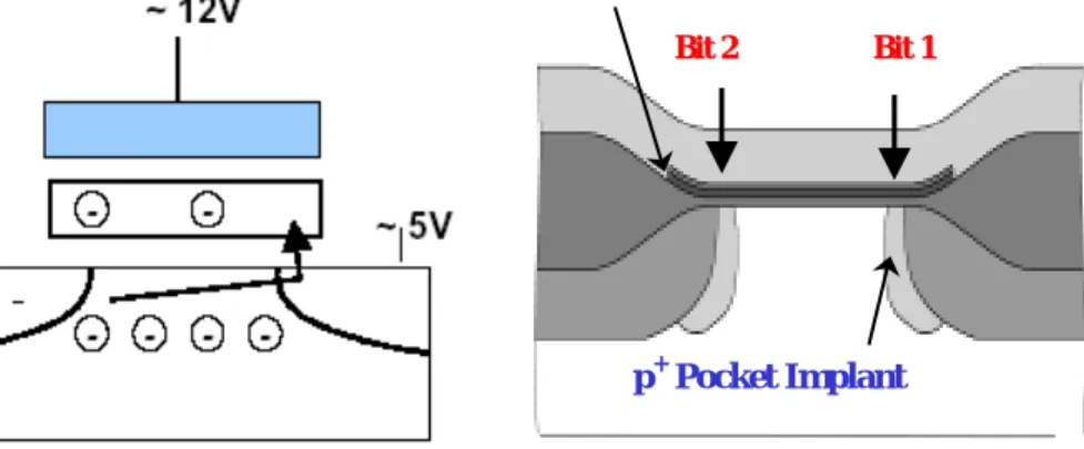 Figure 2.1 Floating gate cell 
