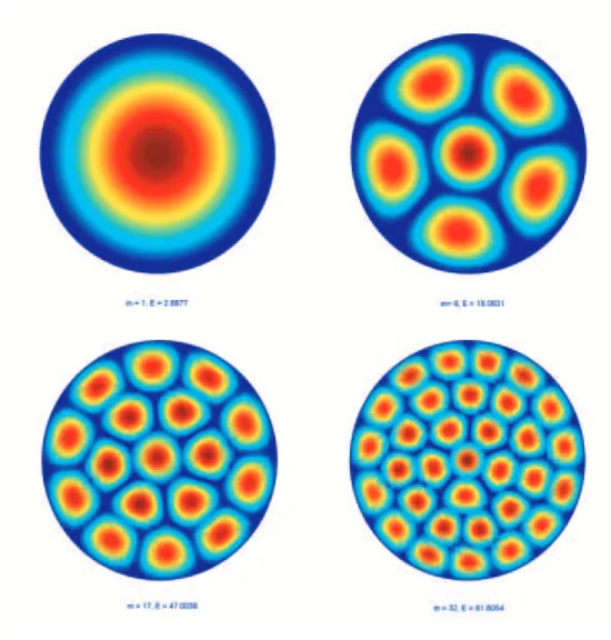 Figure 5.3: Single, Double, Triple, Quadruple verticillate:
