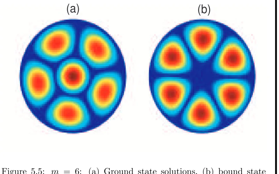 Figure 5.5: m = 6: (a) Ground state solutions, (b) bound state solutions.