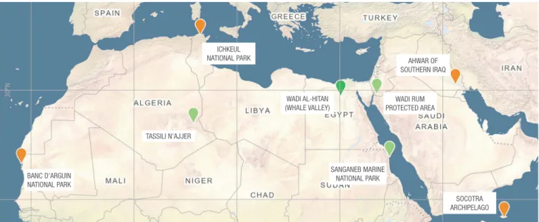 Figure 4: Natural and mixed World Heritage sites in the Arab States, according to their Conservation Outlook in 2020   Source: IUCN