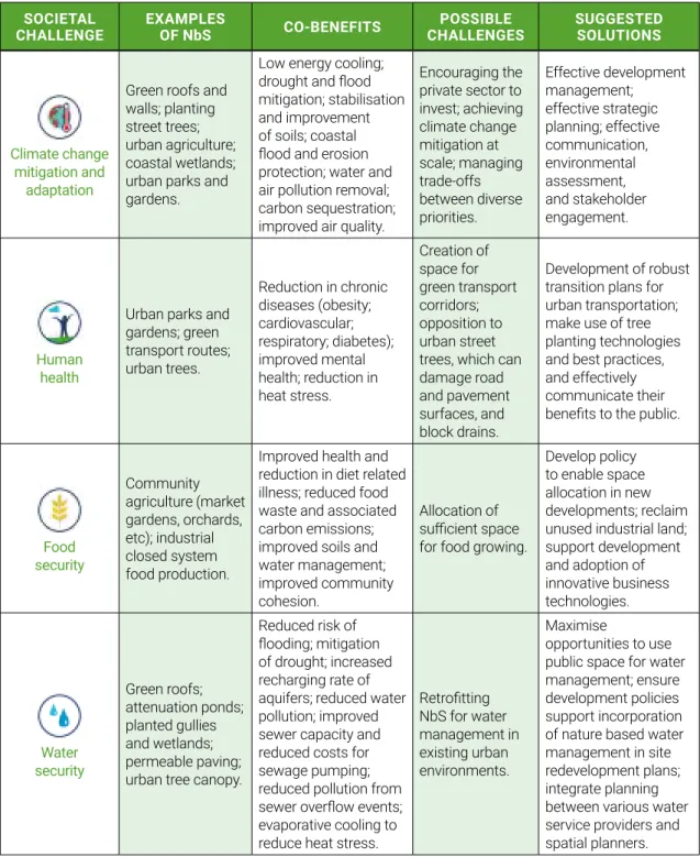Table 3: A summary of NbS, their benefits, and implementation challenges  