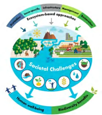 Figure 1:  “Nature-based Solutions are actions to protect,  sustainably manage and restore natural and modified  ecosystems in ways that address societal challenges  effectively and adaptively, to provide both human   well-being and biodiversity benefits” 