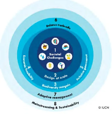Figure 1: The eight Criteria that make up the IUCN   Global Standard for NbS are all interconnected.