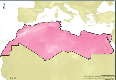 Figure 1. The  North Africa  region as  defined in the  current report.  Map based  