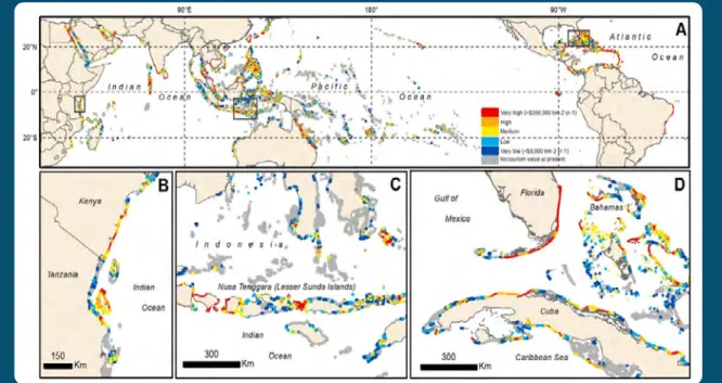 Figure 2. Tourism value of coral reefs. Red: >US$ 356,000 km -2  yr -1 ; Dark blue: <$US 8,000 km -2  yr -1 ); Grey: no value available at present