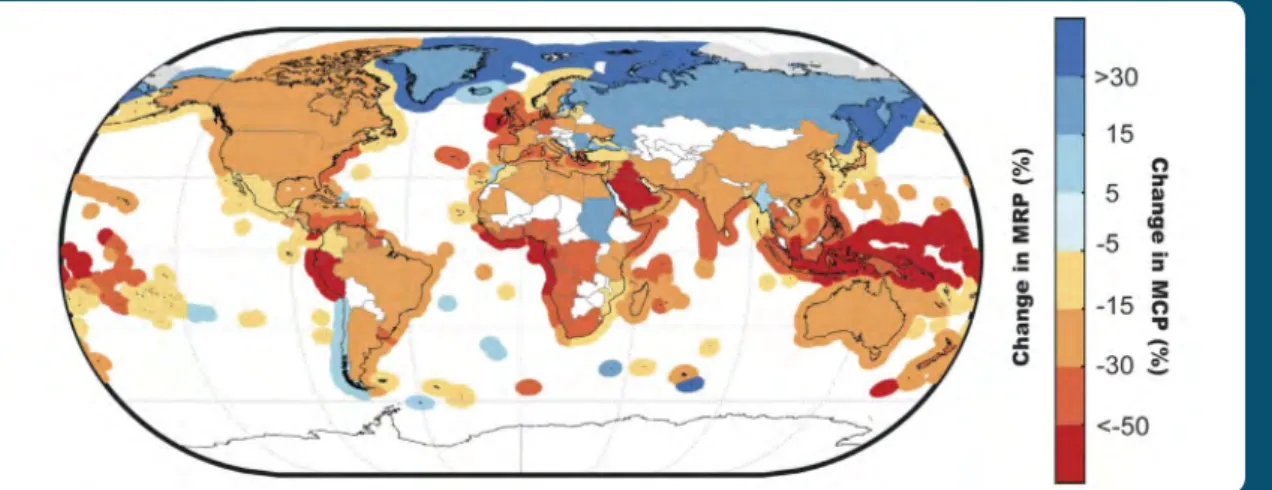 Figure 6. Impacts of climate change on maximum revenue potential (MRP) and maximum  catch potential (MRC)