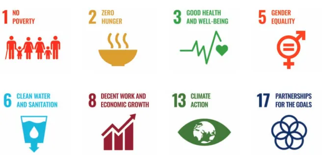 Figure 4. SDGs identified to be most relevant. Compiled by the report authors; SDG icons copyright of United Nations.