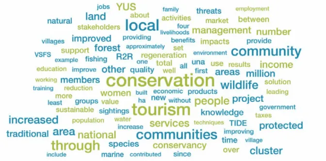 Figure 6. Word cloud of the stated impacts of solutions in the SDG 1 (No Poverty) cluster