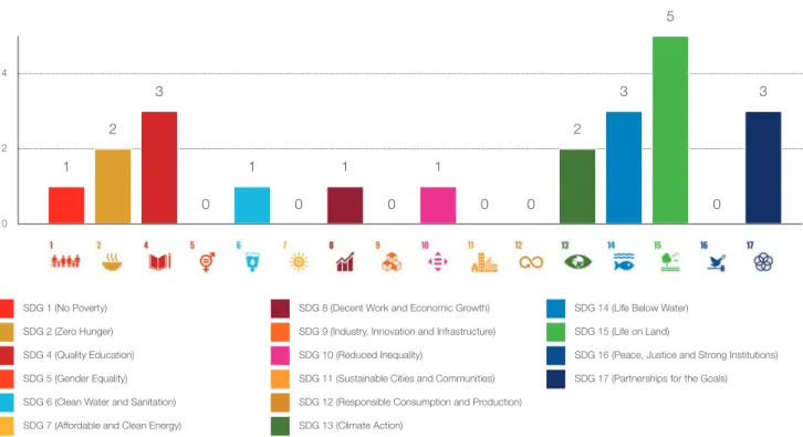 Figure 11. Co-benefits for other SDGs (number of solutions in the SDG 3 – Good Health and Well-Being – cluster that deliver benefits  in relation to each of the other SDGs)