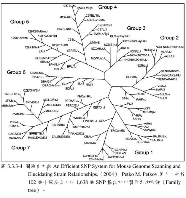 圖 3.3.3-4  圖源自文獻 An Efficient SNP System for Mouse Genome Scanning and  Elucidating Strain Relationships.（2004）  Petko M