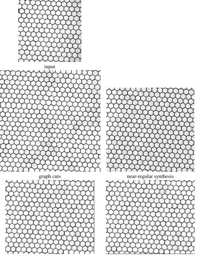 Figure 9: Synthesis results of a hexagonal net texture.