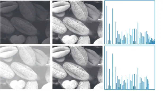 FIGURE 3.20 Left column: Images from Fig. 3.16. Center column: Corresponding histogram-equalized images