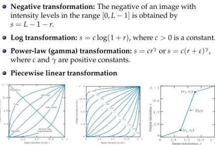 FIGURE 3.6 Plots of the   gamma equation  s = c r g  for various  values of g (c = 1  in all cases)